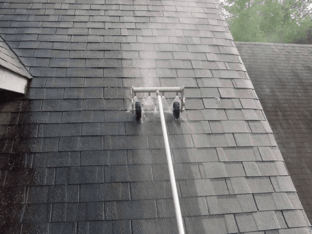 roof mold removal